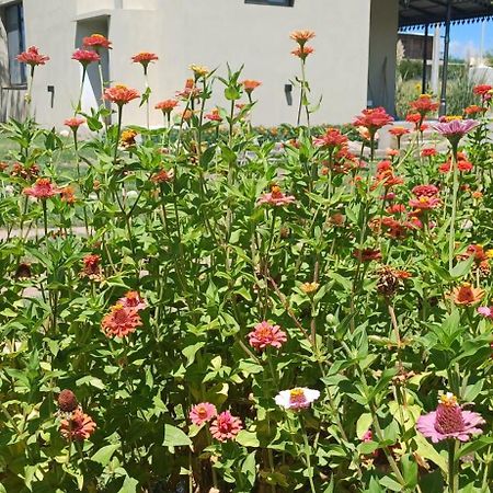 La Valentina Casa De Campo فيلا كورا بروشيرو المظهر الخارجي الصورة