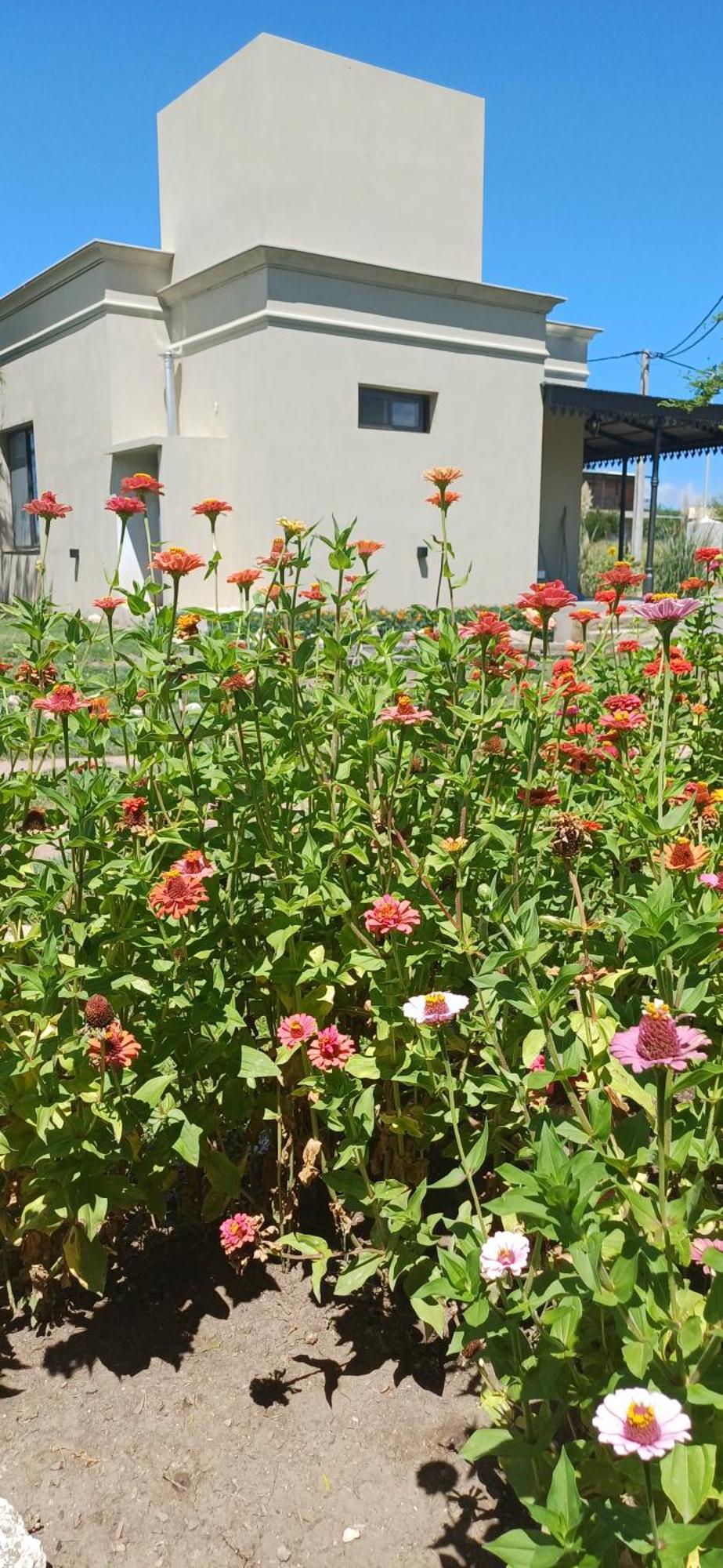 La Valentina Casa De Campo فيلا كورا بروشيرو المظهر الخارجي الصورة